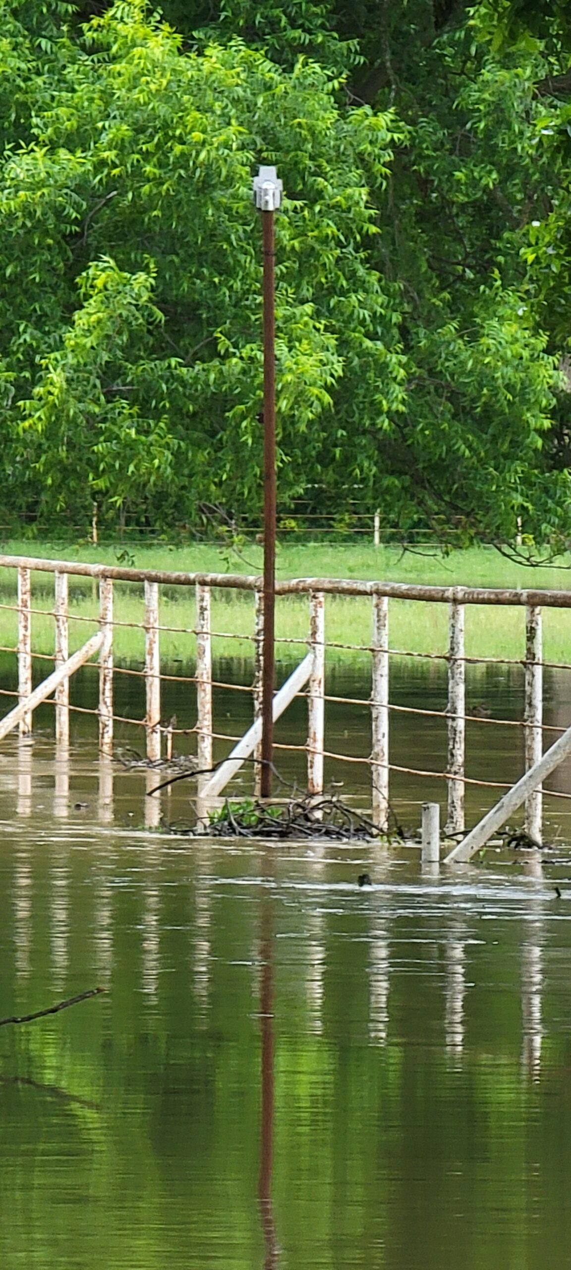 Floodwater covering a pasture and submerging a fence line, with an AWARE sensor mounted on a pole still standing clear above the water